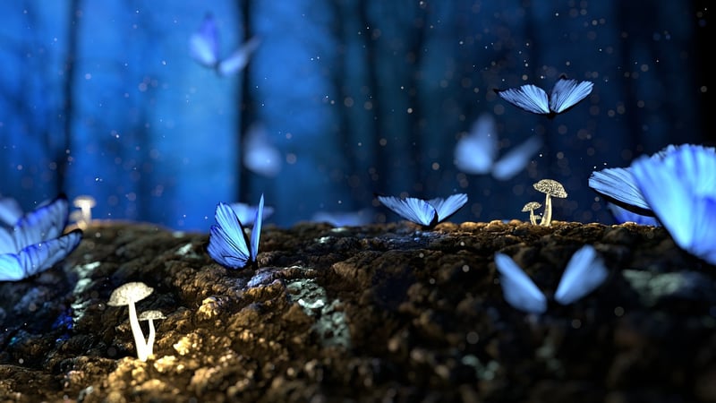 Enchanted fauna