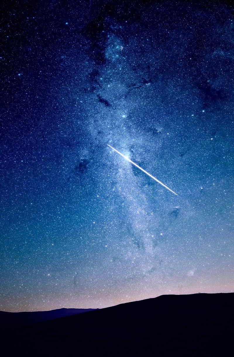 Celestial Gardens